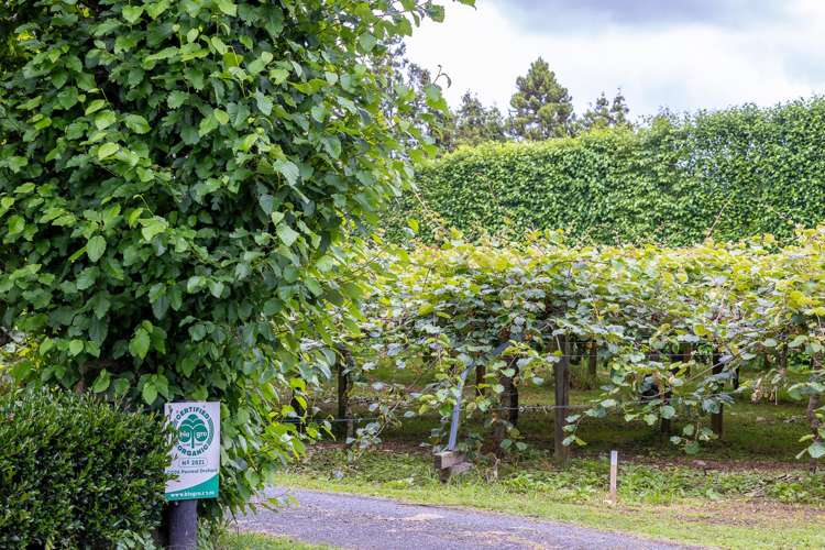 19E Amber Lane Karapiro_13