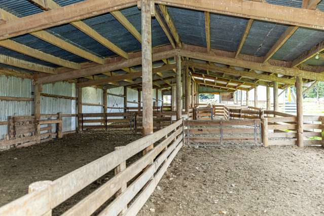 38 Doake Road Pleasant Point_3