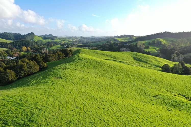 34 Wairere Valley Road Paparoa_8