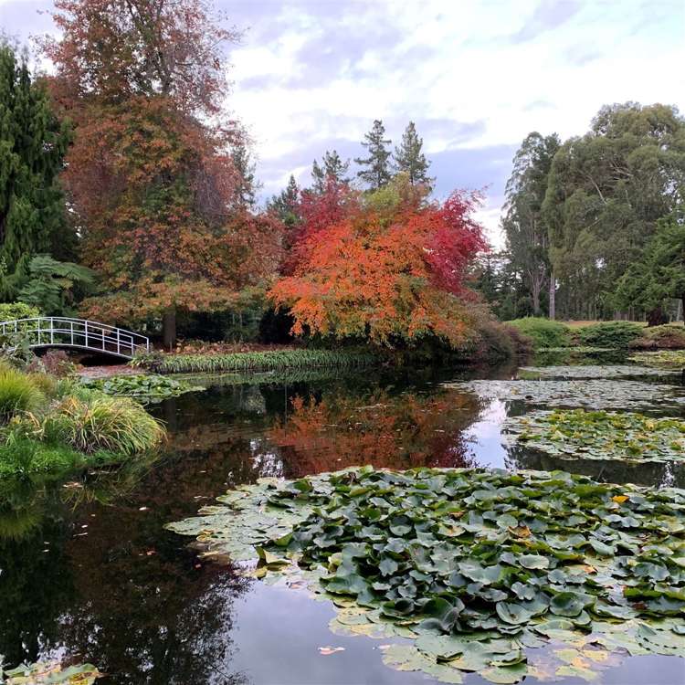 93 Motueka Quay Motueka_21