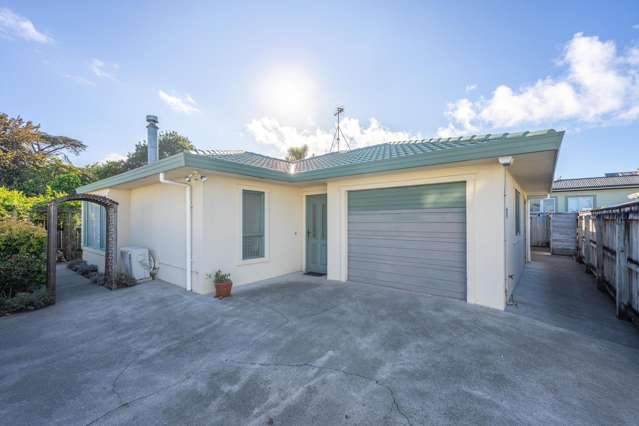 18A Trafalgar Street Levin_2