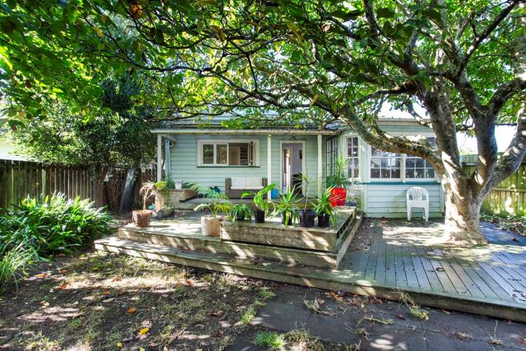 37 Mead Street Avondale_3