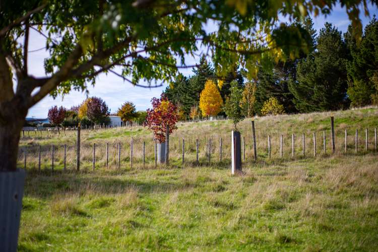 1204j State Highway 3 Kai Iwi_8