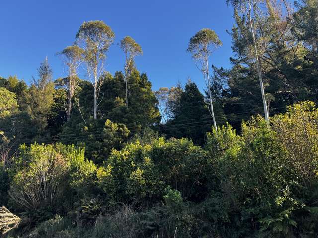 404 Rutherglen Road Paroa_1