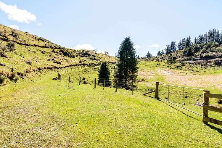 1363 Takaka Hill Highway Kahurangi National Park_6