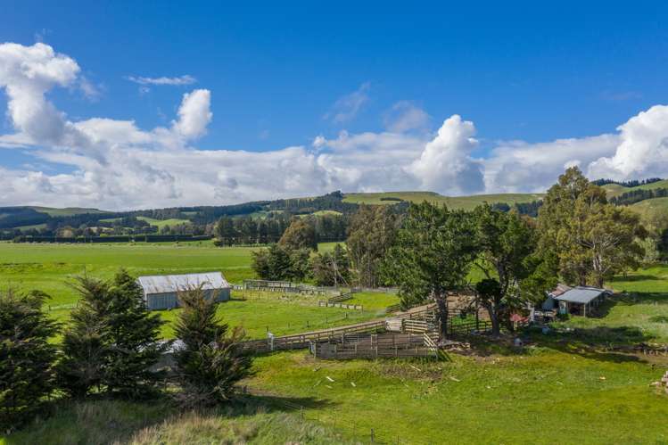 1166 Scargill Valley Road Scargill_19