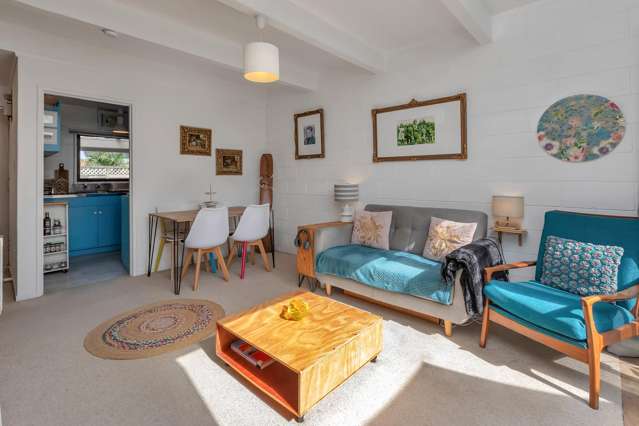 46D Mill Road Regent_4