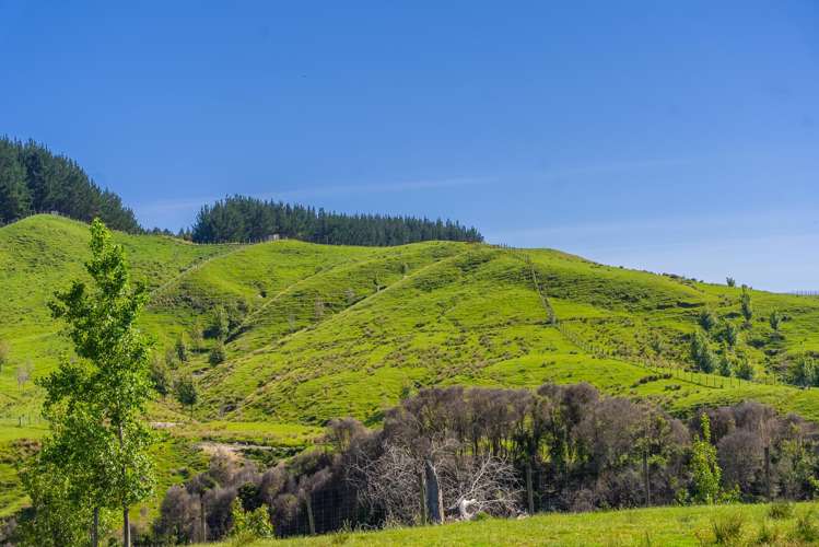 1169 Ruakaka Road Tiniroto_16