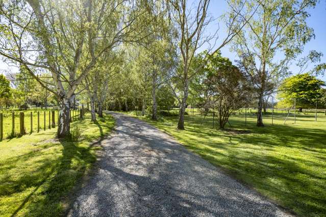 293 Manaia Road Homebush_4