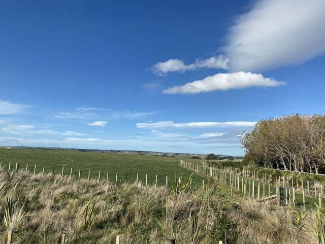 188 Reynolds Road Ratana_3