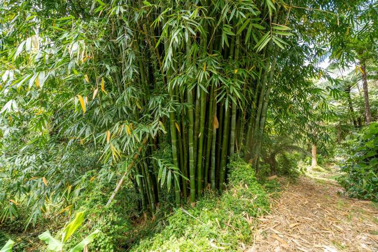 189 Waikino Road Russell Surrounds_21