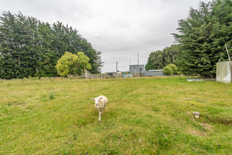 182 Longbush Road Longbush_26