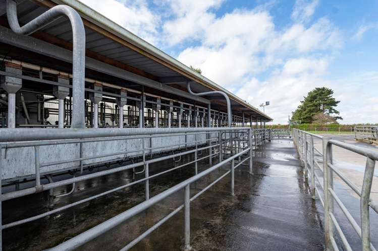 1641 Eltham Road Kaponga_32