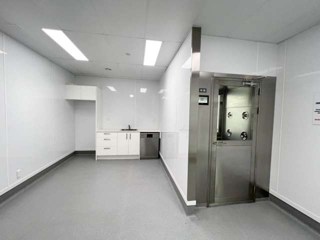 3 Burns Street Grey Lynn_4