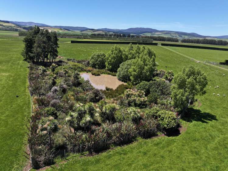 389 Mckenzie Road Browns_24