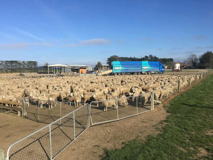 362 Fairfield Road Newland_23