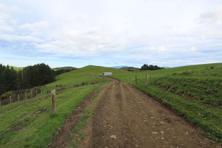 553 Buckland Road Matamata_10