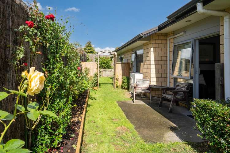 3D Alpers Ridge Cambridge_18
