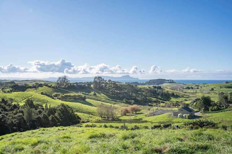 Cottage Hill Way Waipu_4