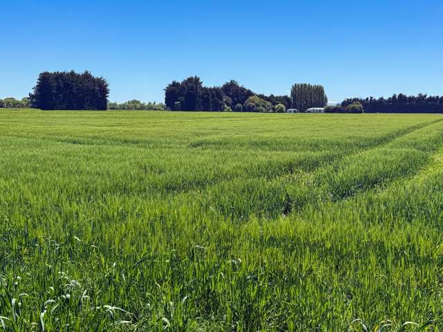 573 Otama Flat Road Otama_2