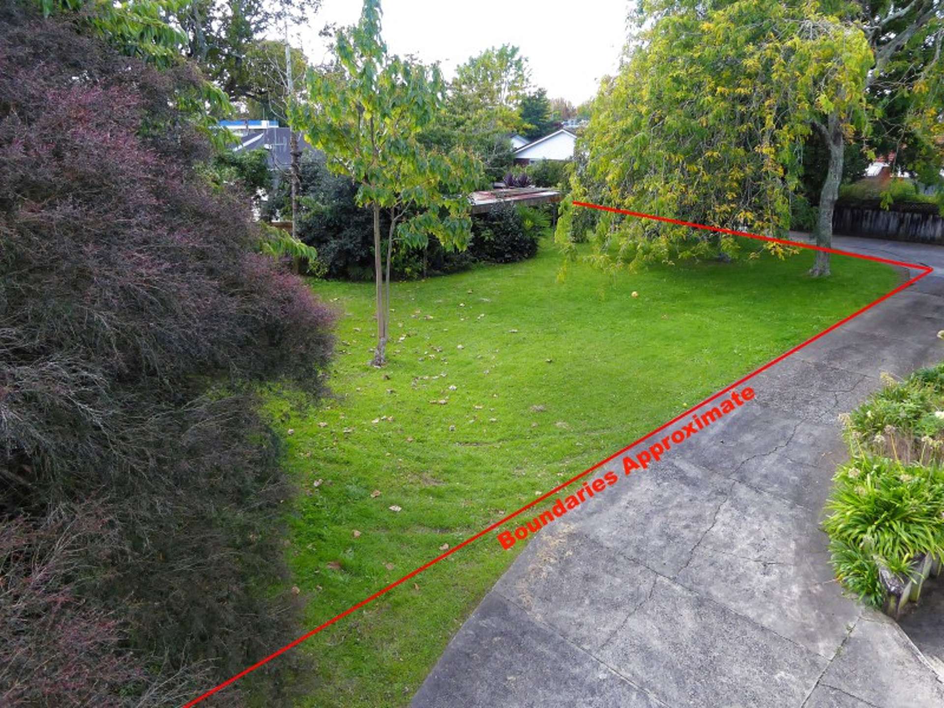 136 Clyde Street Hamilton East_0