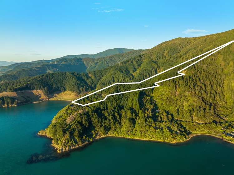 1892 Port Underwood Road Port Underwood_12