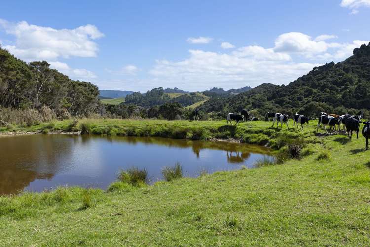 48 Rataroa Road Kaeo_10