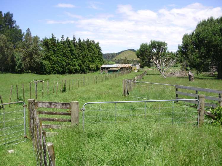 26 Liddell Road Whangamata_11