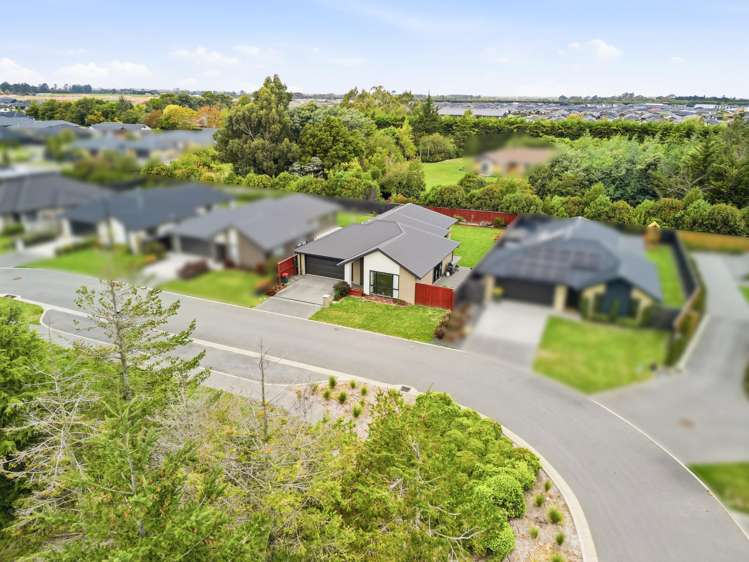 16 Pallid Green Rolleston_19