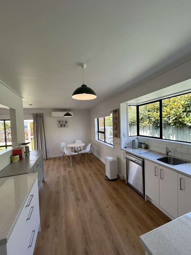 94 East Street Greytown_3