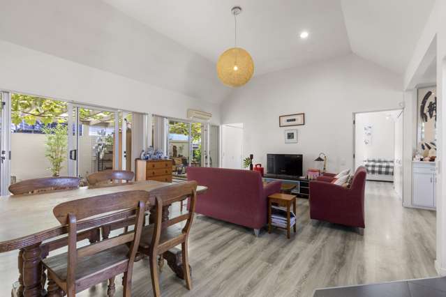 1a Marion Avenue Mount Roskill_1