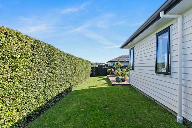 46 Siren Street Milldale_10