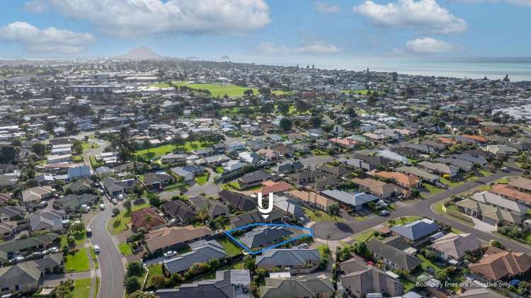 19 Crichton Terrace, Mount Maunganui Tauranga_18