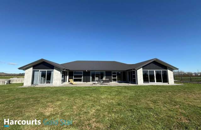 135 Cussen Road Morrinsville_1