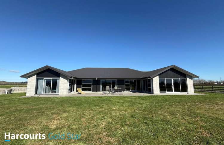135 Cussen Road Morrinsville_1