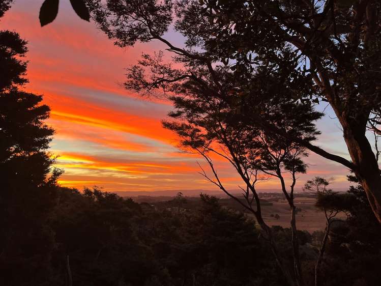 178 Bald Hill Road Waiuku_29