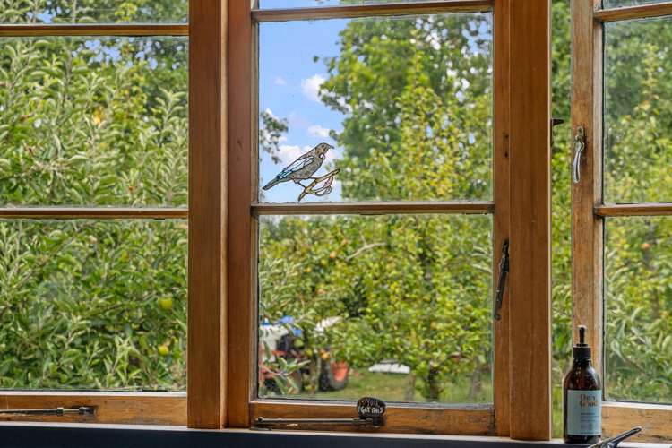 96 Berquist Road Ohaupo_5