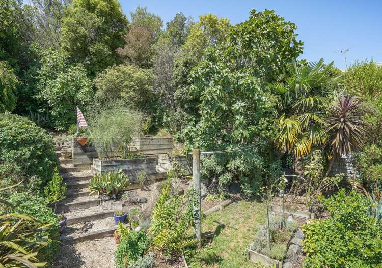 41 Panorama Drive Enner Glynn_21