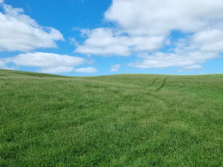 165 Kereru Road Glen Massey_8