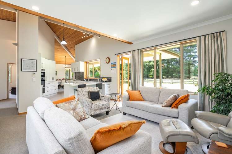 47A Poplar Lane Matangi_11