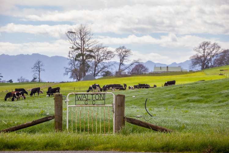 2175 Morrinsville-Walton Road Richmond Downs_15