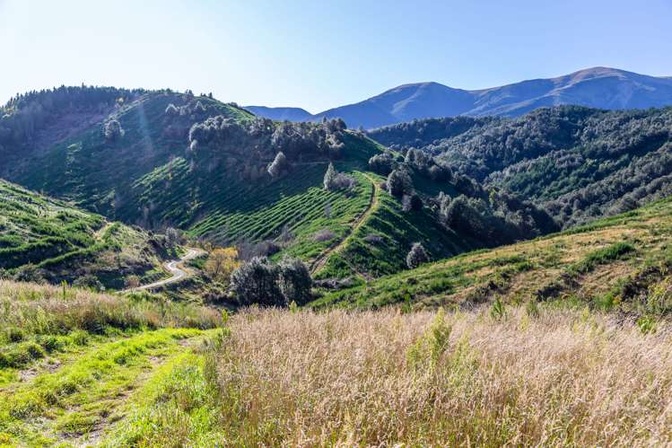 121 Mountain Road Oxford_13