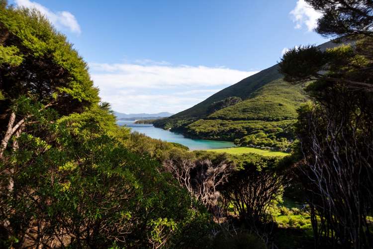 Lot 4 + 5 Te Aroha Bay, Otanerau Bay Marlborough Sounds_25