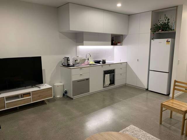 Sunny 3 bedroom home for rent in Petone