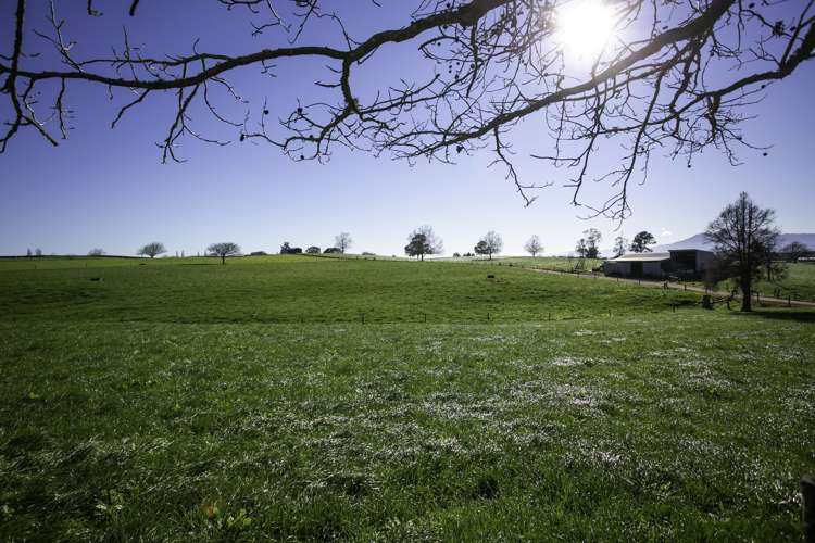 224 Maungakawa Road Ngarua_2