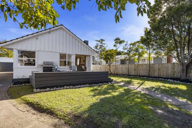 28 Laurel Street Mount Albert_2