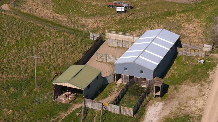 137 McLeods Road Palmerston_19