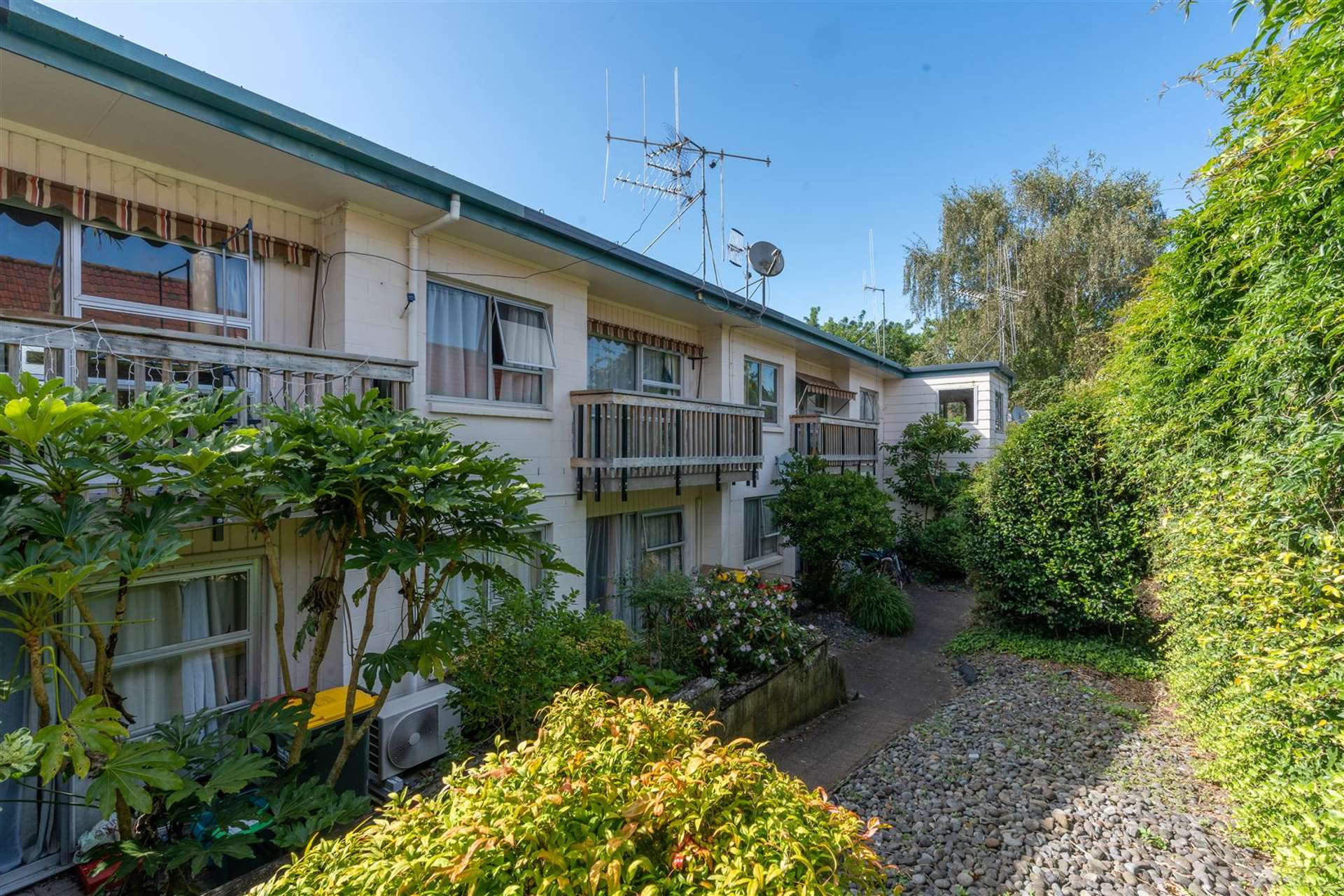 6/289 Ulster Street Whitiora_0