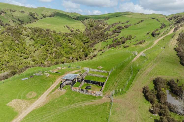 514 Totara Road Kumeroa_14