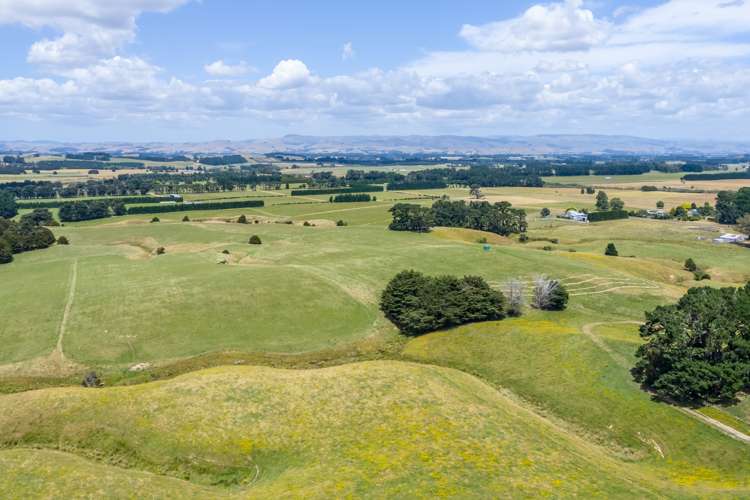 812 Laws Road Dannevirke_14